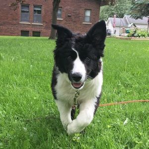 Meet your Posher, Chloe